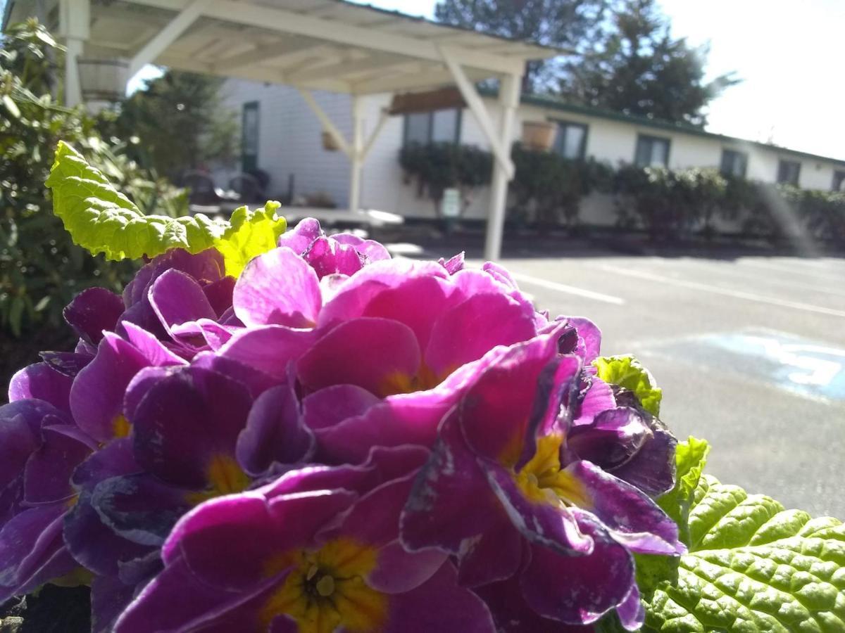The Orca Inn Friday Harbor Exterior foto