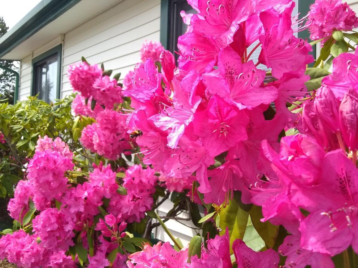 The Orca Inn Friday Harbor Exterior foto
